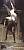 Solomon Solomon Joseph - Ajax et Cassandre.jpg Solomon Solomon Joseph - Ajax et Cassandre.jpg